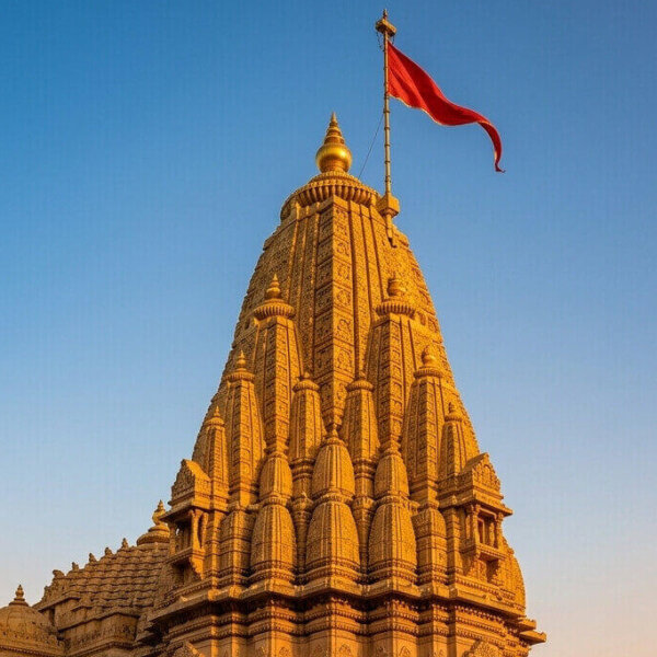Gujarat 5N6D